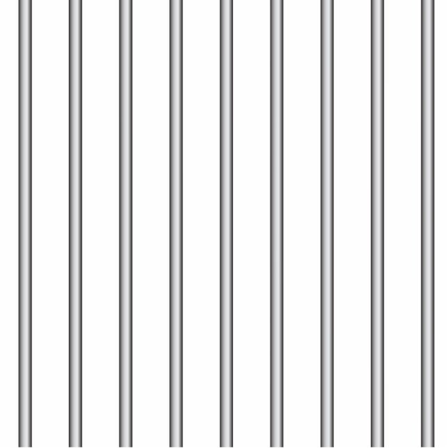 Iron Jail Bars Photo Sculpture Magnet (Front)