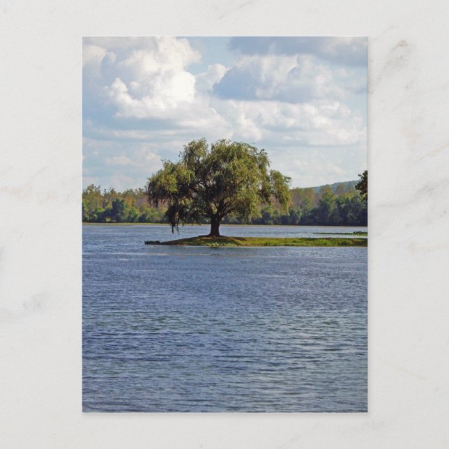 Iron Mountain Lake Postcard (Front)