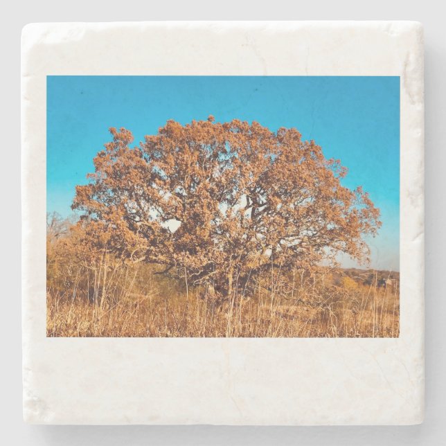 Iron Oak with Fall Sunrise Glow Stone Coaster (Front)