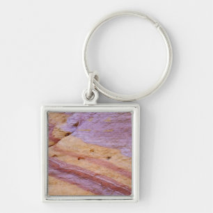 Iron oxides color a sandstone formation key ring