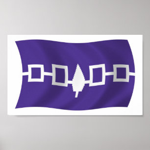 Iroquois Confederacy Flag Poster Print