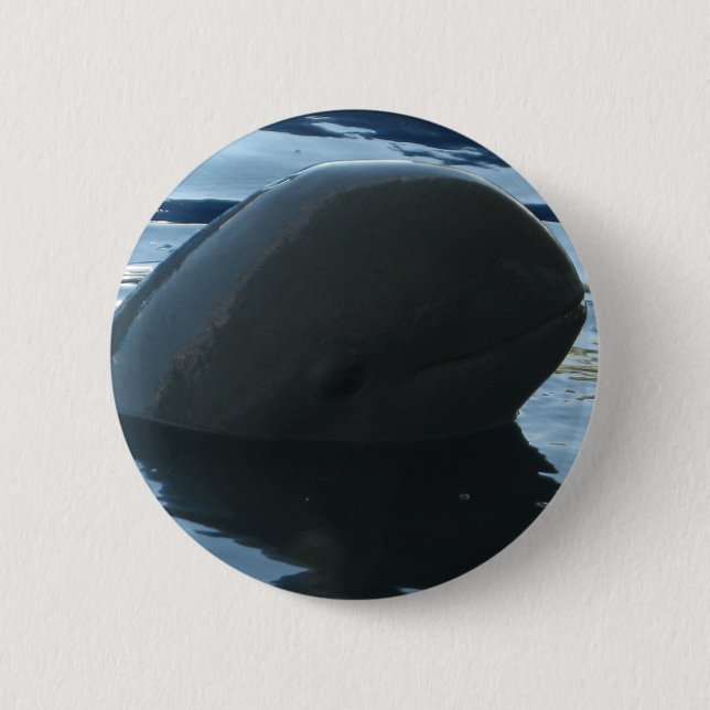 Irrawaddy Dolphin Peek-A-Boo 6 Cm Round Badge (Front)