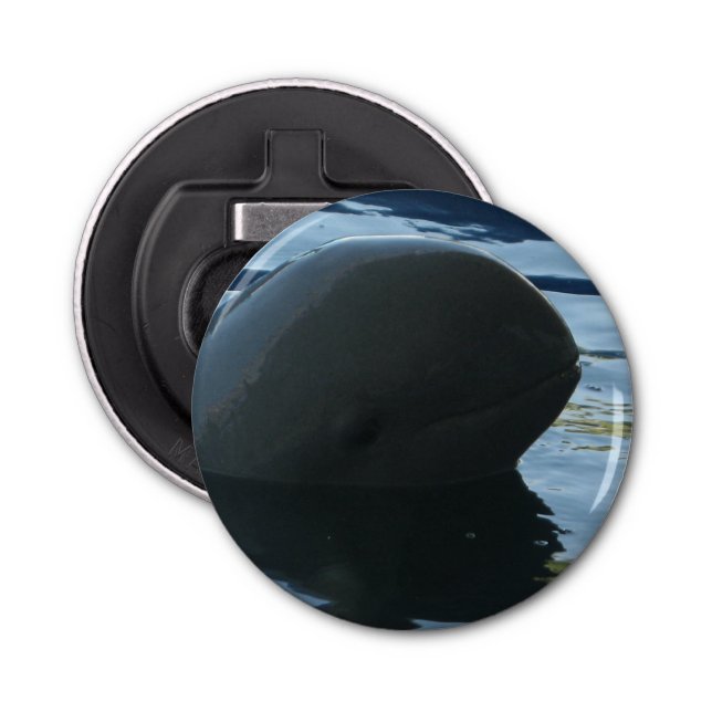 Irrawaddy Dolphin Peek-A-Boo Bottle Opener (Front)