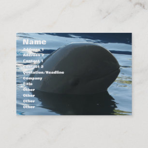 Irrawaddy Dolphin Peek-A-Boo Business Card