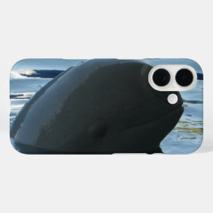 Irrawaddy Dolphin Peek-A-Boo iPhone 16 Case