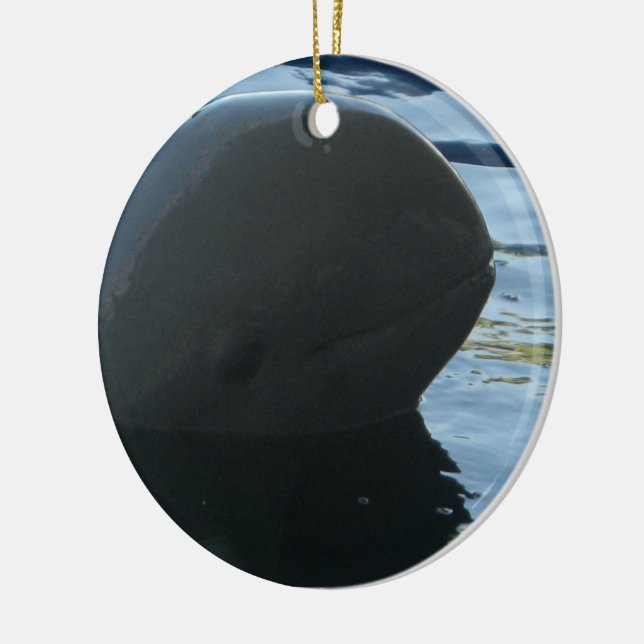 Irrawaddy Dolphin Peek-A-Boo Ceramic Tree Decoration (Left)