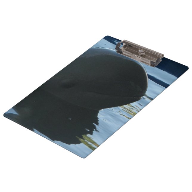 Irrawaddy Dolphin Peek-A-Boo Clipboard (Angled)