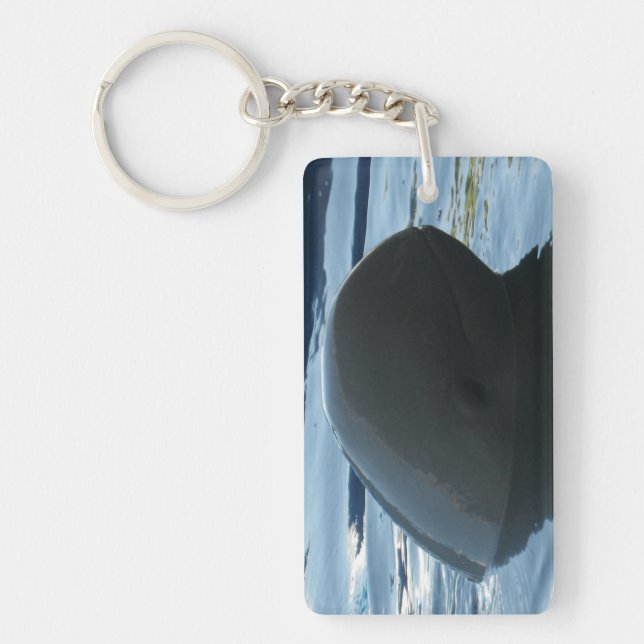 Irrawaddy Dolphin Peek-A-Boo Key Ring (Front)