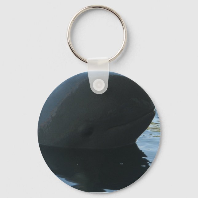 Irrawaddy Dolphin Peek-A-Boo Key Ring (Front)