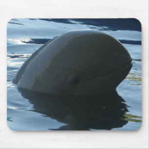 Irrawaddy Dolphin Peek-A-Boo Mouse Mat