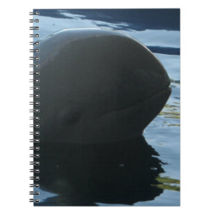Irrawaddy Dolphin Peek-A-Boo Notebook