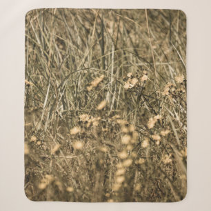 irregular dry plants on rock covered beach on the sherpa blanket