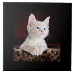 Irresistible...look at that precious face tile