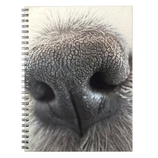 Irresistible Puppy Nose Notebook