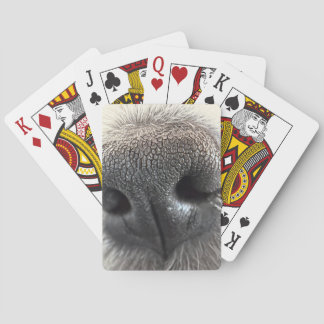 Irresistible Puppy Nose Playing Cards