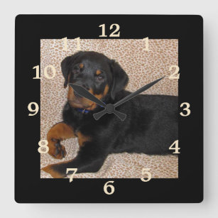 Irresistible Rottweiler Puppy Numbered Wall Clock
