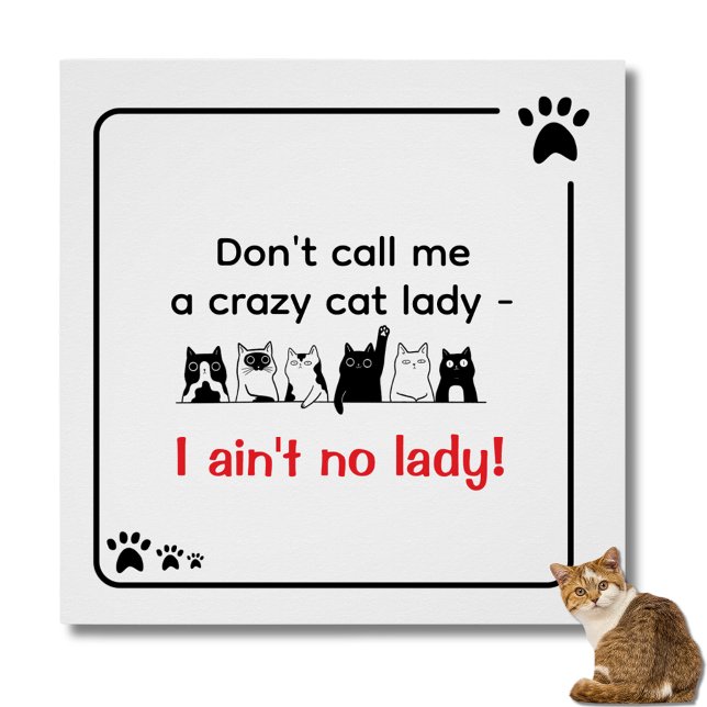 Irreverent Humor Crazy Cat Lady  Poster (I ain't no lady poster)