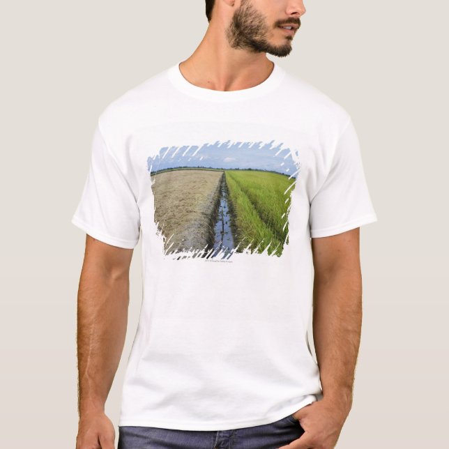irrigation channel in between rice fields T-Shirt (Front)