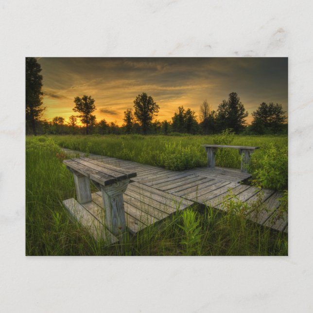 Irwin Prairie Sunset Postcard (Front)