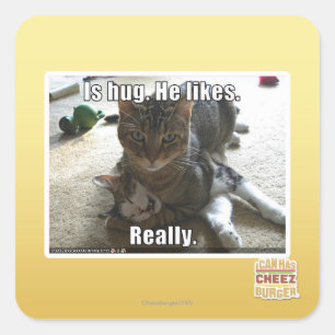 Is hug. He likes. Square Sticker