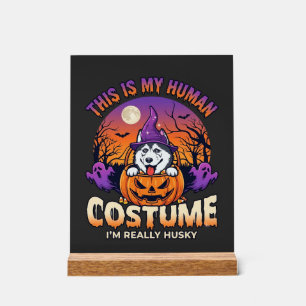 Is Human Costume Husky Pumpkin Halloween Ghosts_1 Acrylic Sign