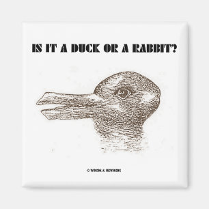 Is It A Duck Or A Rabbit? (Optical Illusion) Magnet