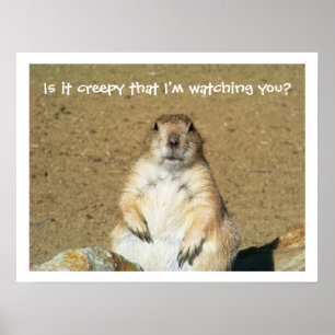 "Is it creepy that I'm watching you?" Prairie Dog Poster