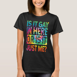 Is It Gay In Here I Gay Gay Lesbian Gay Tolerance T-Shirt