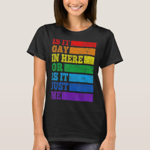 Is It Gay In Here Or Is It Just Me Rainbow Flag LG T-Shirt