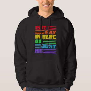 Is It Gay In Here Or Just Me Lgbt Flag Rainbow Hoodie
