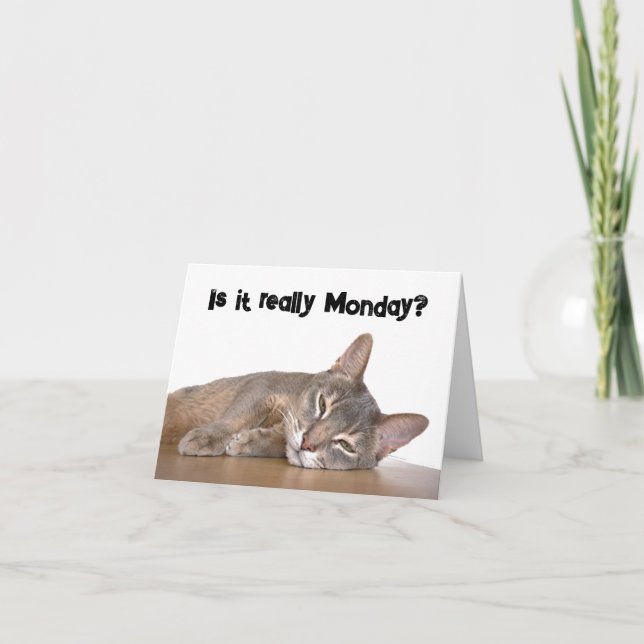 Is It Really Monday? Funny Abyssinian Cat Meme Card (Front)