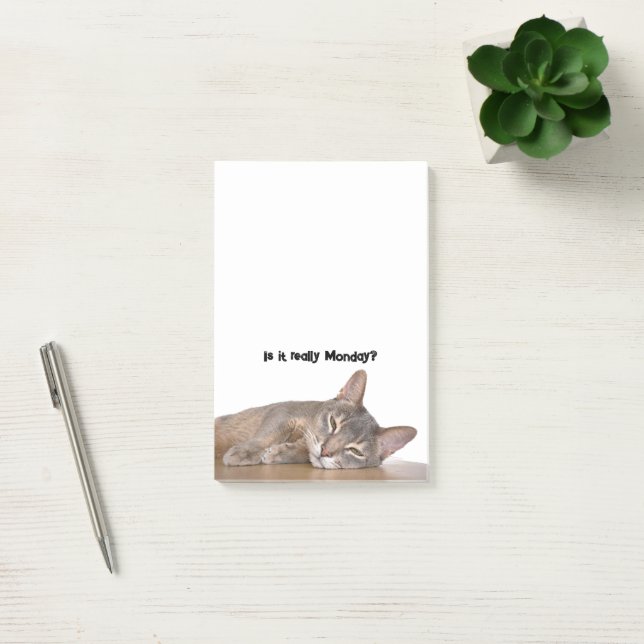 Is It Really Monday? Funny Abyssinian Cat Meme Post-it Notes (Office)