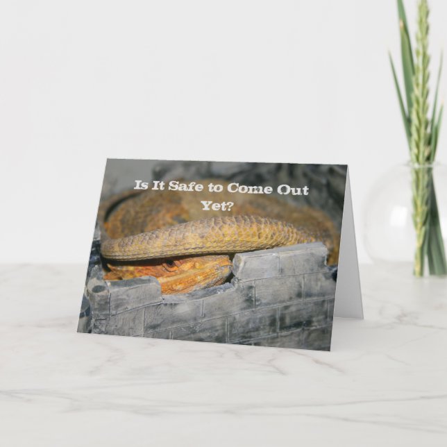 Is it safe yet? Bearded Dragon Card (Front)