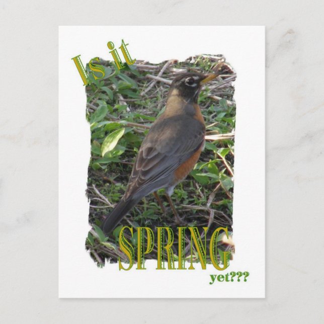 Is It Spring Yet??? Postcard (Front)