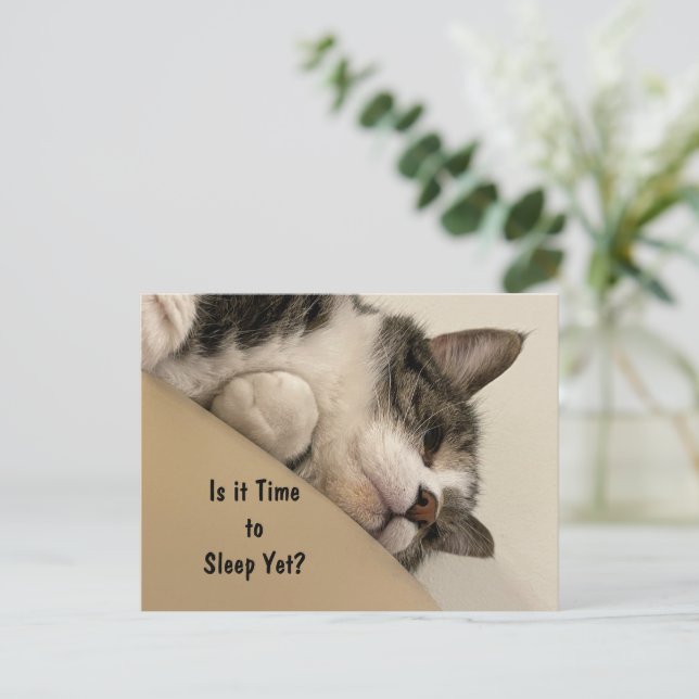 Is it Time to Sleep Postcard (Standing Front)