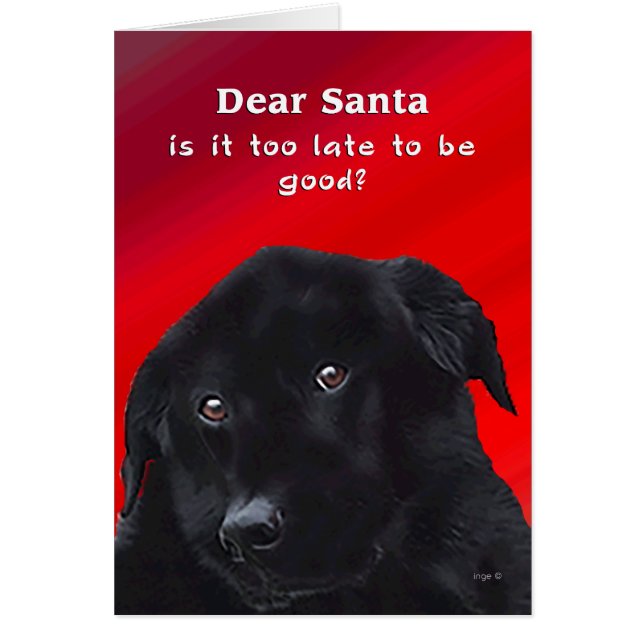 Is it too late to be Good? Dear Santa Labrador Fun (Front)