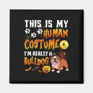 Is My Human Costume I'm Really A Bulldog Halloween Magnet