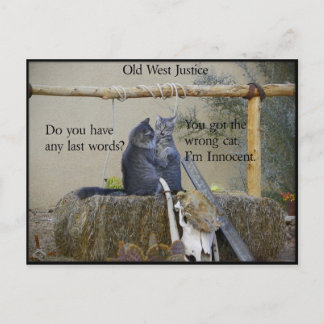 Is One Of The Earp Boys About To Be Hung? Postcard
