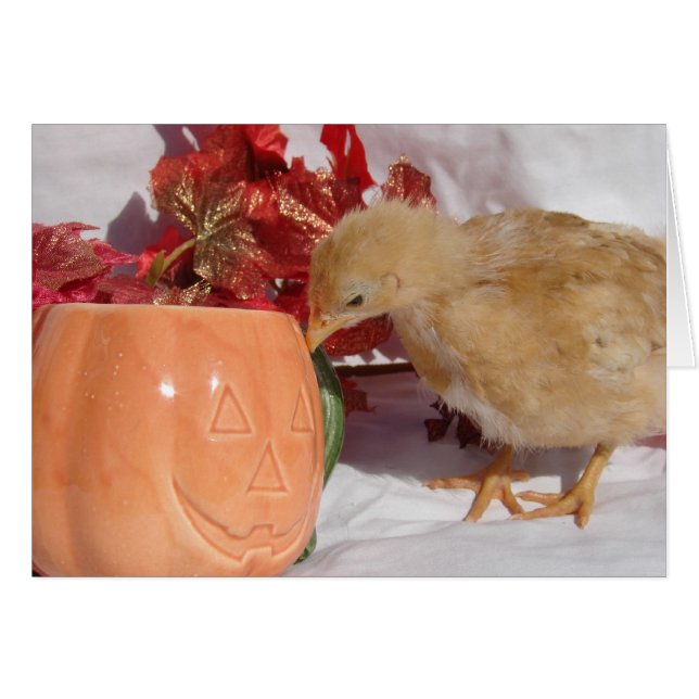 Is That Food? (Front Horizontal)