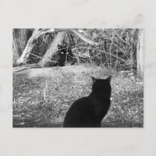 Is that me? postcard