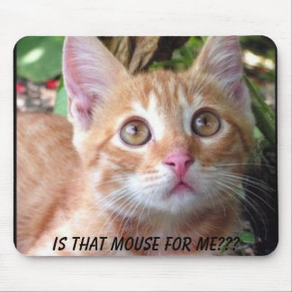 Is that mouse for me? mat
