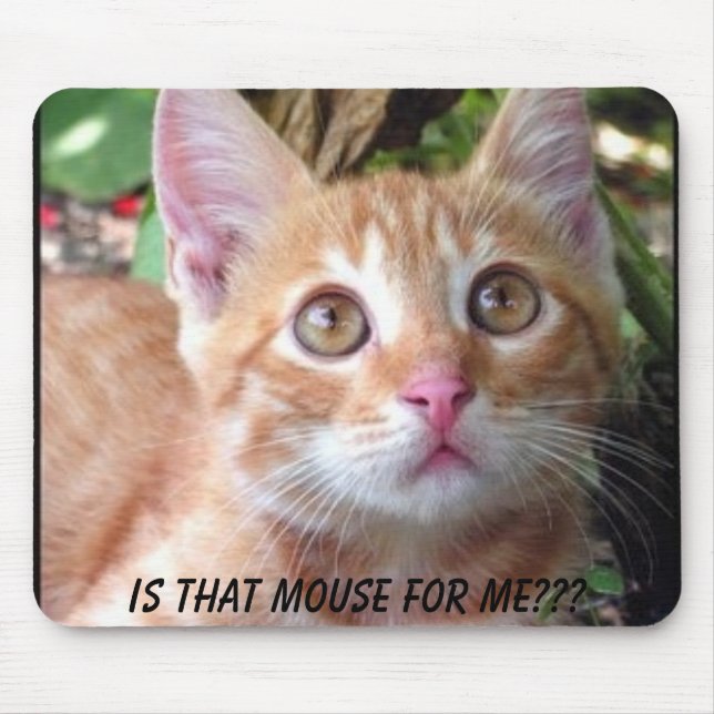 Is that mouse for me? mat (Front)