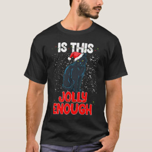Is This Jolly Enough Scary Cat Women Halloween Cel T-Shirt