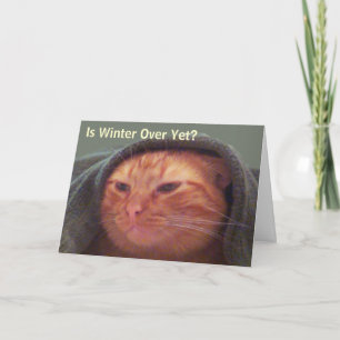 Is Winter Over Yet? Cat Greeting Card