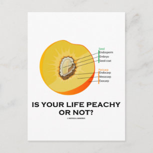 Is Your Life Peachy Or Not? (Food For Thought) Postcard