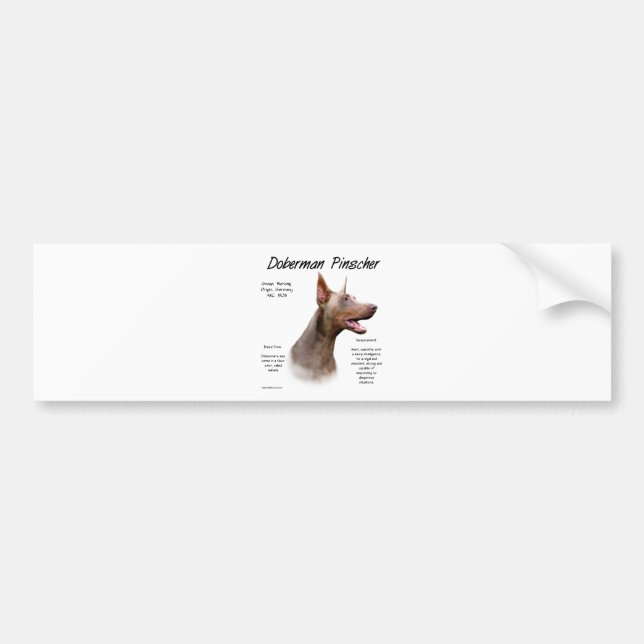 Isabella Doberman History  Bumper Sticker (Front)
