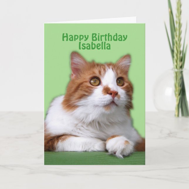Isabella Happy Birthday Orange and White Cat Card (Front)