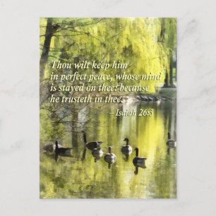 Isaiah 26-3 Thou wilt keep him in perfect peace Postcard