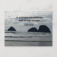 Isaiah 30:15 In quietness and confidence shall be