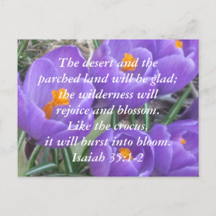 Isaiah 35:1-2 ~ The Crocus Postcard